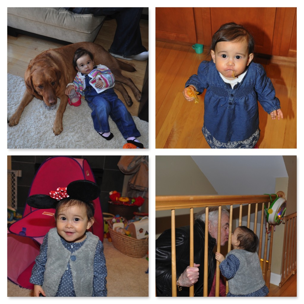 Ava Fun End Of February