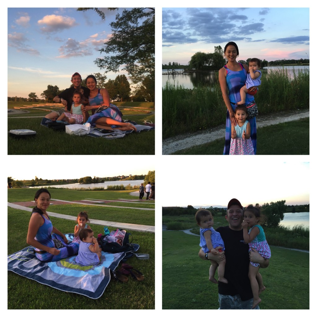 Glenview Picnic