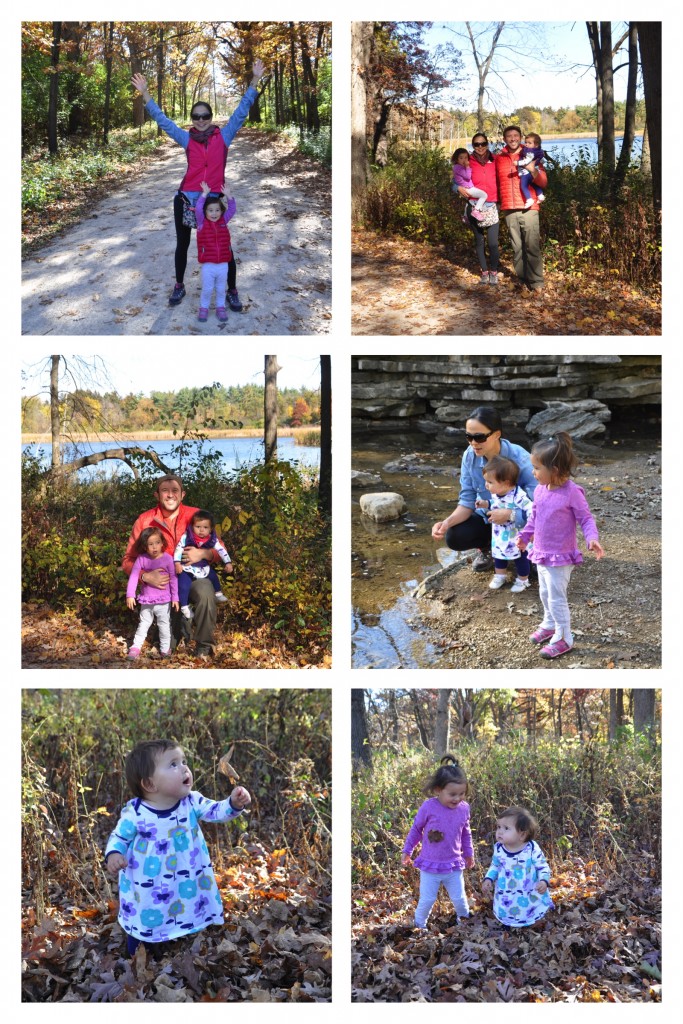 Waterfall Glen Hike