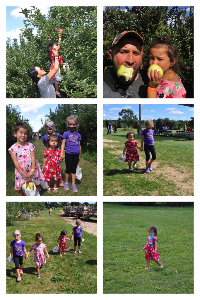 apple-picking