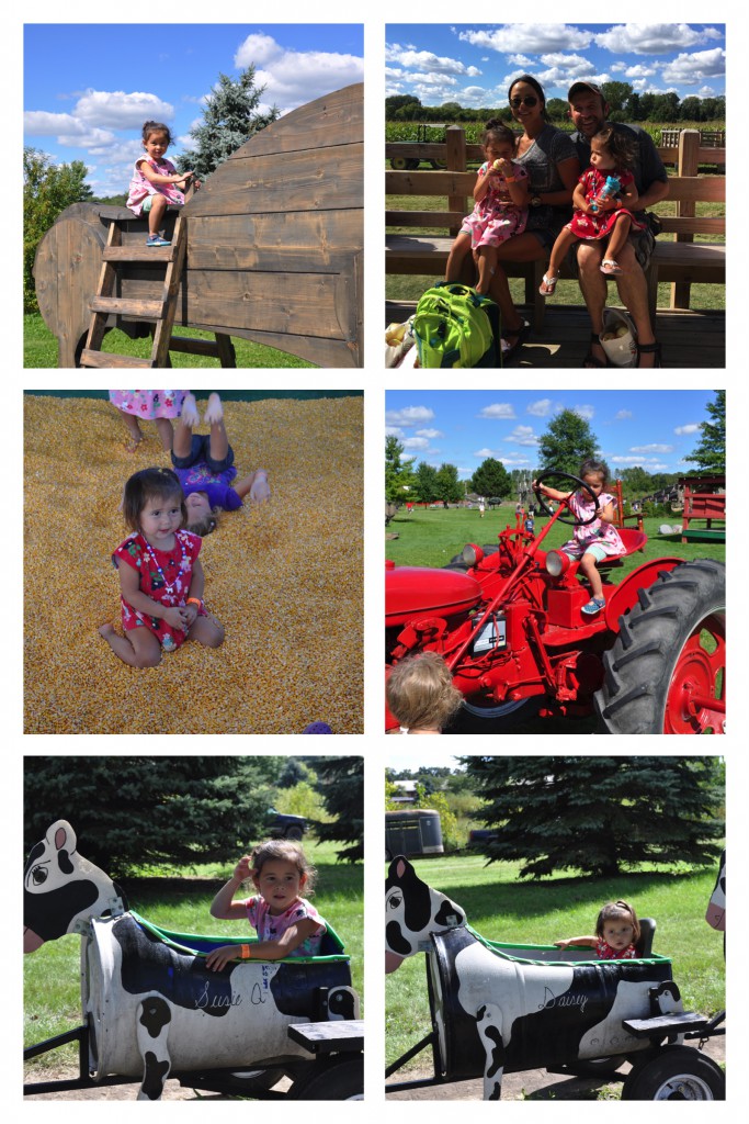 apple-picking-2